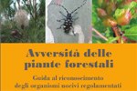 Avversità delle piante forestali