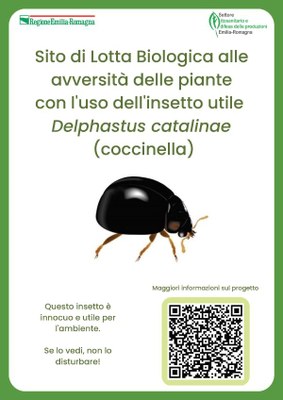 Cartello informativo Lotta Biologica ad Aleurocanthus spiniferus 600.jpg
