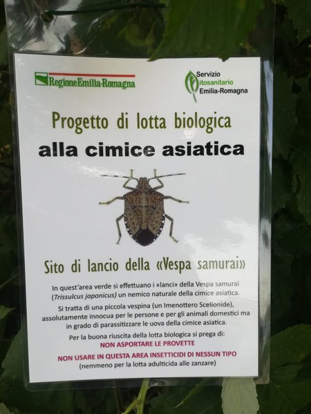 Lanci Trissolcus Modena Reggio: cartello di segnalazione