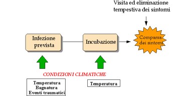 Schema modelli previsionali.jpg