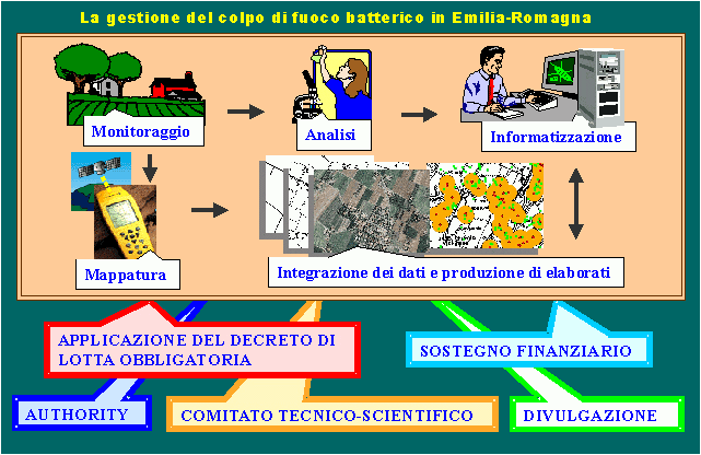 La gestione del colpo di fuoco batterico in Emilia Romagna