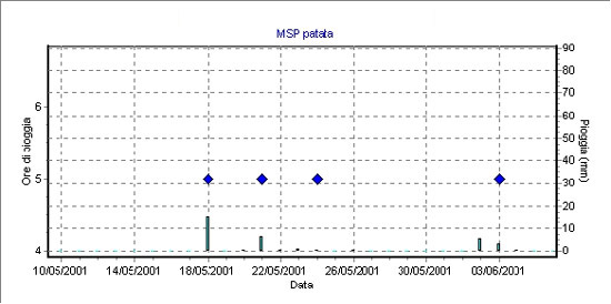 modello MISP 