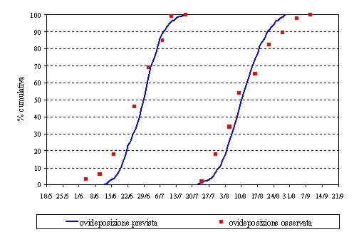 Grafico-Funebrana