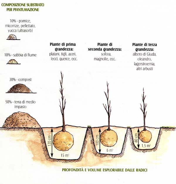 Composizione substrato per piantumazione