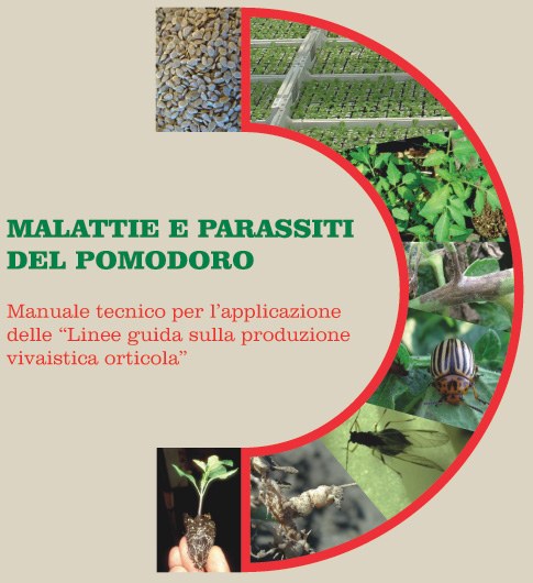 malattie e parassiti del pomodoro