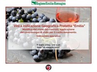 Etichettatura di controllo e tracciabilità dei vini ottenuta dall’Igp Emilia