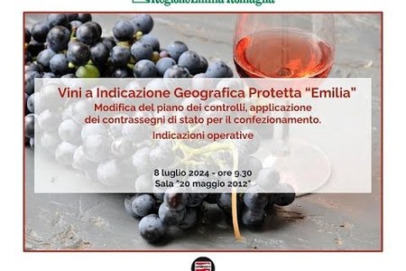 Etichettatura di controllo e tracciabilità dei vini ottenuta dall’Igp Emilia