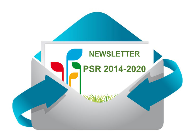 Newsletter PSR