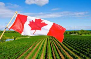 Cooperazione Canada-Europa sull’agricoltura sostenibile