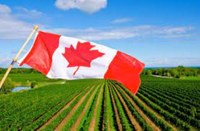 Cooperazione Canada-Europa sull’agricoltura sostenibile