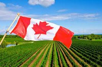 Opportunità di internazionalizzazione in Canada: Agrifood and Agtech