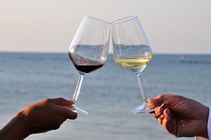 Niente bollino nero per il vino, emendamenti accolti dal Parlamento europeo