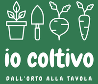 Al via il progetto regionale per realizzare orti nelle scuole medie dell'Emilia-Romagna