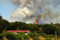 Incendi boschivi: prosegue fino al 1°luglio la fase di attenzione su tutto il territorio regionale