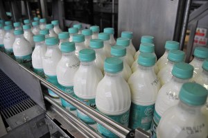 Latte, Granarolo riconosce agli allevatori minimo 48 cent/l oltre a Iva e premio qualità