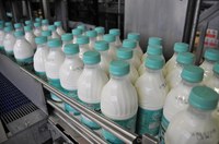 Latte, Granarolo riconosce agli allevatori minimo 48 cent/l oltre a Iva e premio qualità