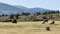Ruralbania, al via il nuovo progetto per sostenere gli agricoltori del Nord Albania