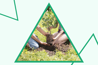 Mettiamo radici per il futuro, da sabato 1^ ottobre riparte la distribuzione gratuita degli alberi nei vivai accreditati