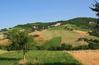 Sviluppo rurale 2023-2027, quasi 1 miliardo di euro all'agroalimentare dell'Emilia-Romagna
