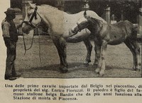 L'agricoltura dell'Emilia-Romagna di inizio secolo presentata ad una delegazione americana