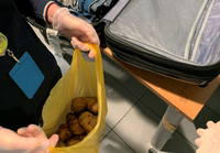 Entra nel vivo il controllo dei bagagli su frutta e vegetali presso l'Aeroporto di Bologna