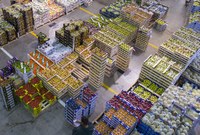 Mercati agroalimentari: dalla Regione 600mila euro per export ed economia solidale