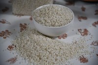 Sostegno alla coltivazione di riso da pila e da seme, al via un bando da 600mila euro