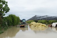 L’assessore Mammi ringrazia i Consorzi di Bonifica per l’impegno nelle zone inondate dall’acqua in Romagna