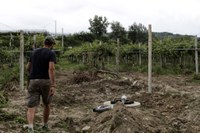 Alluvione, proposte Emilia-Romagna: ai rimborsi 1 miliardo di euro non utilizzato e procedure semplificate