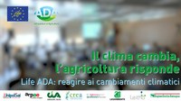 Progetto Ada: online tre workshop sulla gestione dei rischi nell'ortofrutta, nel vino e nei lattiero-caseari