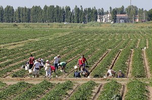 Decreto flussi del Governo, la denuncia della Regione: troppo pochi i lavoratori autorizzati in Emilia-Romagna