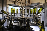 Ocm vino, approvato il bando Investimenti per l’annualità 2024/25