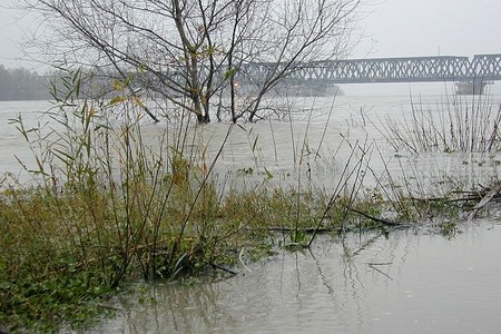 Piogge persistenti del giugno scorso: al via le domande per i danni causati alle imprese agricole