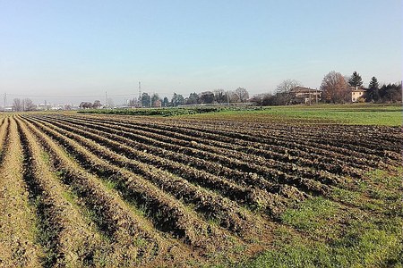 Qualità dei suoli agricoli: pubblicato il rapporto finale del monitoraggio avviato nel 2018