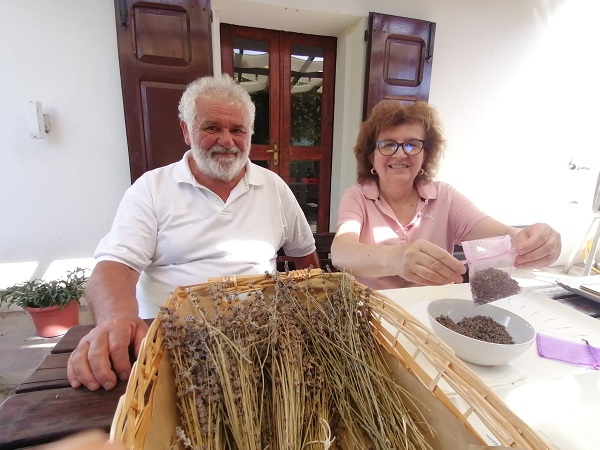 Lavorazione della lavanda - foto R. Sangiorgi FA 2024 