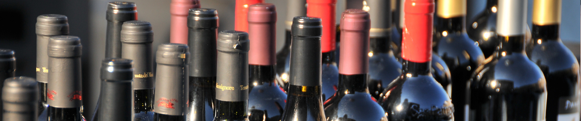 Bottiglie di vino - foto F. Dell'Aquila