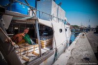 Riqualificazione delle banchine dei porti e dei mercati ittici in regione, in arrivo finanziamenti a Rimini, Cesenatico, Goro e Comacchio