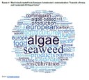 Alghe, settore innovativo della Blue Economy