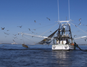 Nuove regole europee per pesca e acquacoltura