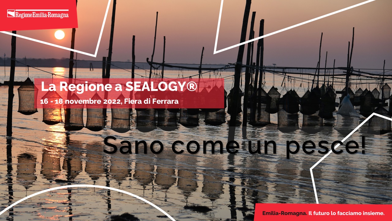 Sealogy campagna RER.jpg