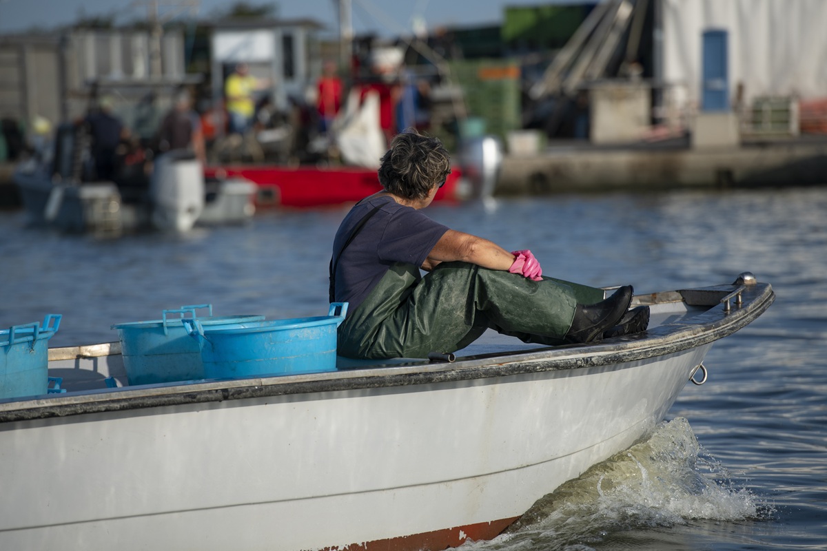 Pescatore su barca - foto Giorgia Morriello e Maurizio Cinti - Delta Cinematica