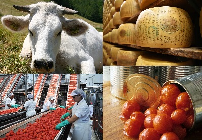 Foto di filiere agroalimentari - Fabrizio Dell'Aquila