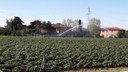irrigazione in campo di patate foto Bignami.jpg