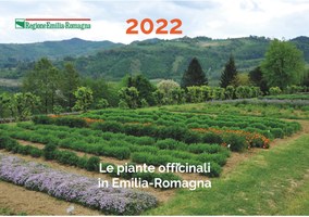 Calendario 2022 delle piante officinali