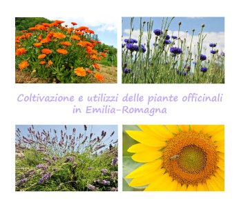 Coltivazione e utilizzi delle piante officinali in Emilia-Romagna
