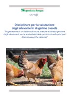 Disciplinare per la valutazione degli allevamenti di galline ovaiole