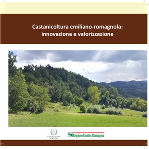 Castanicoltura emiliano-romagnola: innovazione e valorizzazione