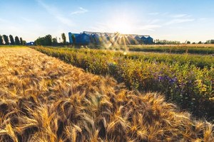 Viaggio di studio in Francia - Lione e Vichy - per visitare il cuore della produzione cerealicola francese