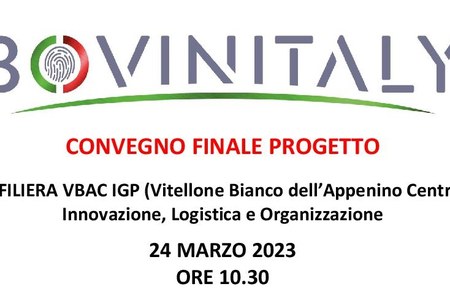 A Forlì il 24 marzo il convegno finale del progetto Goi filiera Vitellone bianco dell’Appenino Centrale Igp