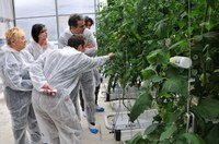 Una partnership per l'innovazione in agricoltura tra giappone ed Emilia-Romagna